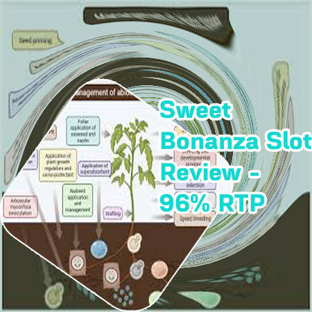 Pragmatic sweet bonanza